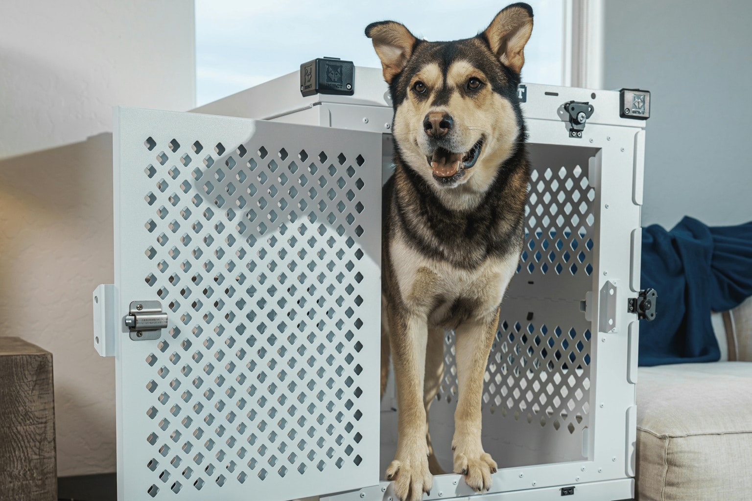 Pet Relocation